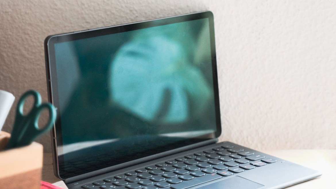 Pflanze Monstera spiegelt sich in Laptop-Bildschirm (Foto: Johanna Weber) Pflanze Monstera spiegelt sich in Laptop-Bildschirm